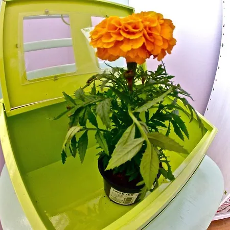 Хостел Backpackers Fairytale Сплит