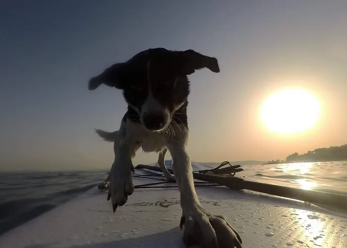 Backpackers Fairytale *