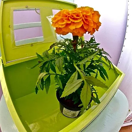 Hostel Backpackers Fairytale