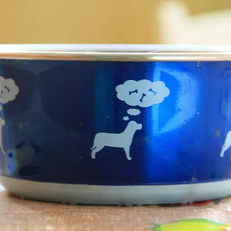 Auberge de jeunesse Backpackers Fairytale Split