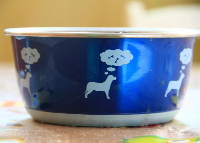 Hostel Backpackers Fairytale Split