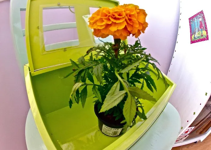 Hostel Backpackers Fairytale Σπλιτ